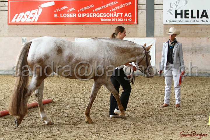 24-ApHC HIH_001.jpg
